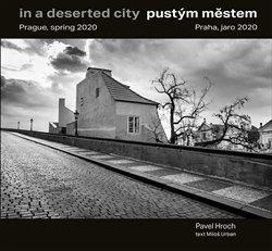 Kniha: Pustým městem / In a Deserted City - Pavel Hroch