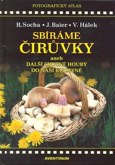 Kniha: Sbíráme čirůvky - Baier Jiří, Socha Radomír
