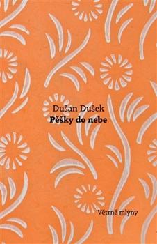 Kniha: Pěšky do nebe - Dušan Dušek