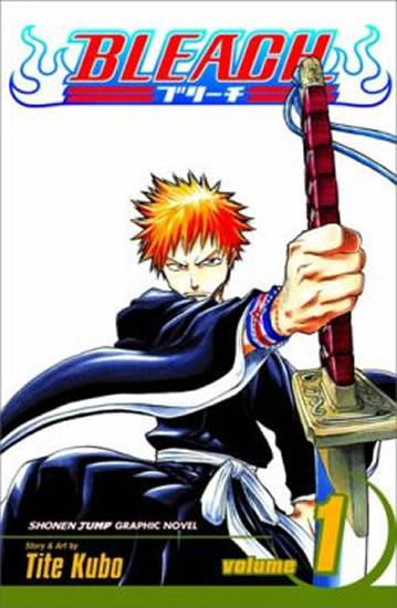 Kniha: Bleach 1 - Kubo Tite