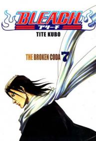 Bleach 7