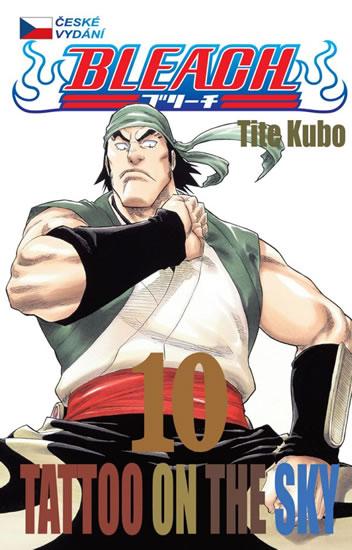 Kniha: Bleach 10 - Kubo Tite