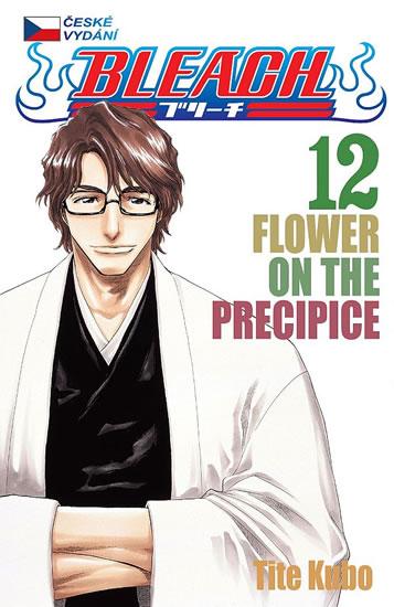 Kniha: Bleach 12: Flower on the Precipice - Kubo Tite