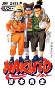 Naruto 21 - Neodpustitelné