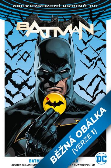 Kniha: Batman / Flash - Odznak - King Tom