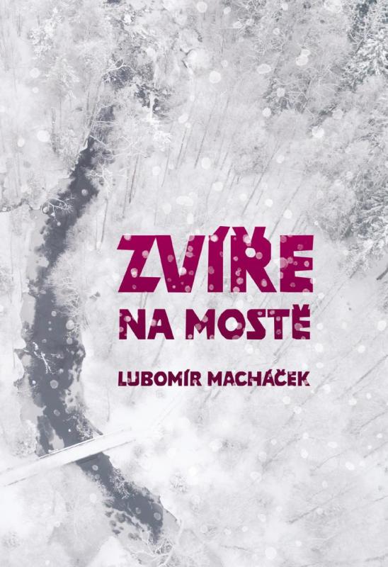 Kniha: Zvíře na mostě - Macháček Lubomír