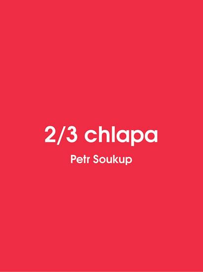 Kniha: 2/3 chlapa - Soukup Petr