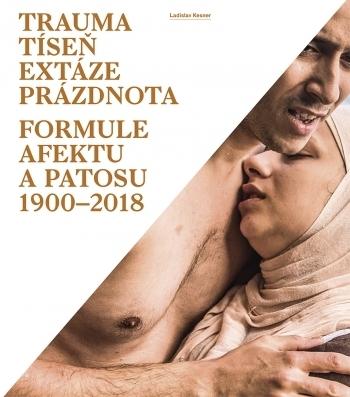Kniha: Trauma, tíseň, extáze, prázdnota - Formu - Ladislav Kesner