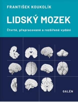 Kniha: Lidský mozek - František Koukolík