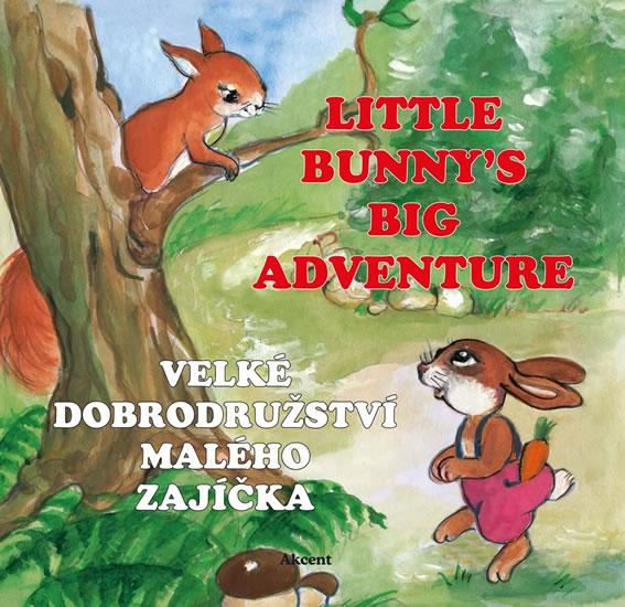 Kniha: Velké dobrodružství malého zajíčka / Little Bunny´s Big Adventure - Šnajderová Ludmila
