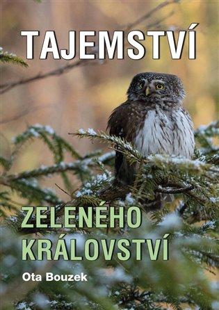 Kniha: Tajemství zeleného království - Bouzek, Ota