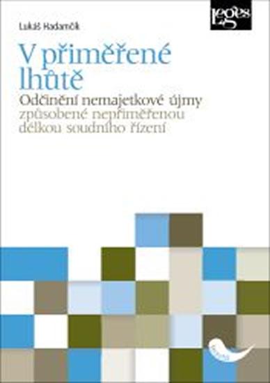 Kniha: V přiměřené lhůtě - Lukáš Hadamčík