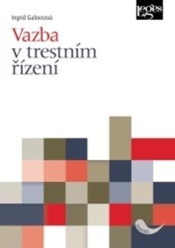 Kniha: Vazba v trestním řízení - Ingrid Galovcová