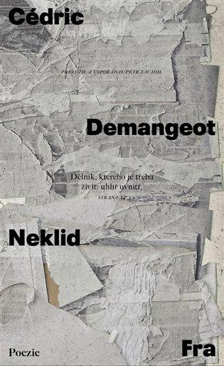 Kniha: Neklid - Demangeot, Cédric