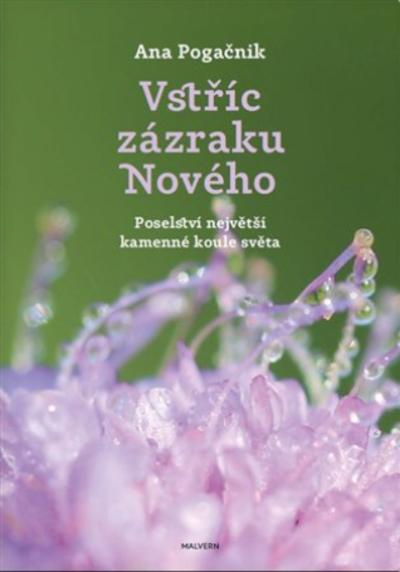 Kniha: Vstříc zázraku nového - Ana Pogačnik