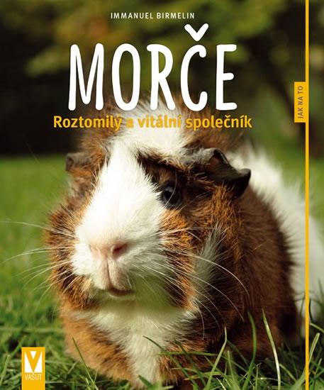 Kniha: Morče - Roztomilý a vitální společník - Birmelin Immanuel