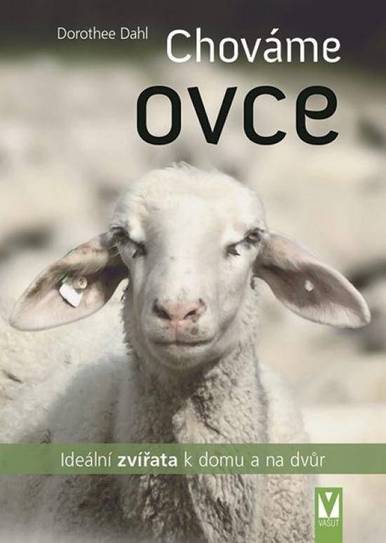 Kniha: Chováme ovce – ideální zvířata k domu a na dvůr - Dahl Dorothee