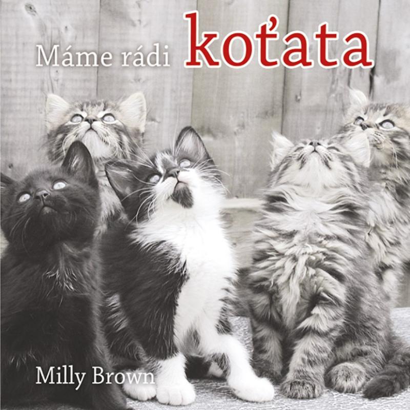 Kniha: Máme rádi koťata - Milly Brown