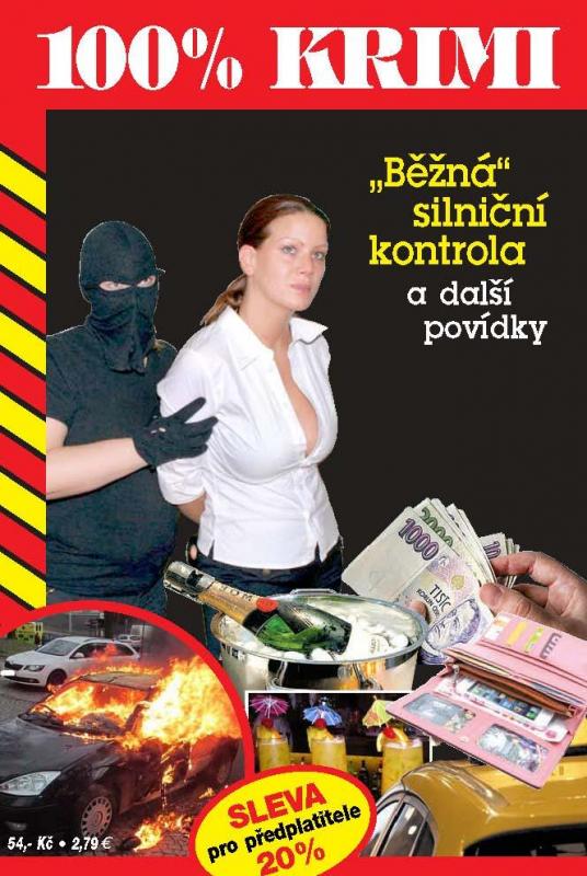 Kniha: Běžná silniční kontrola a další povídky - Formáčková, Jan Beer Marie