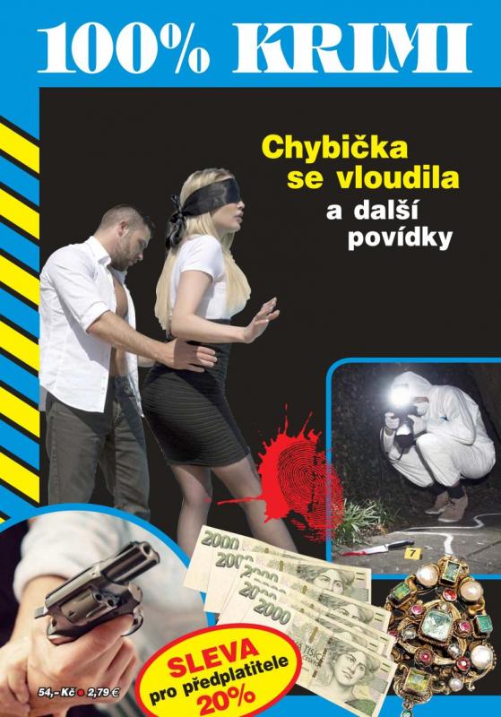 Kniha: Chybička se vloudila a další povídky - Formáčková, Jan Beer Marie