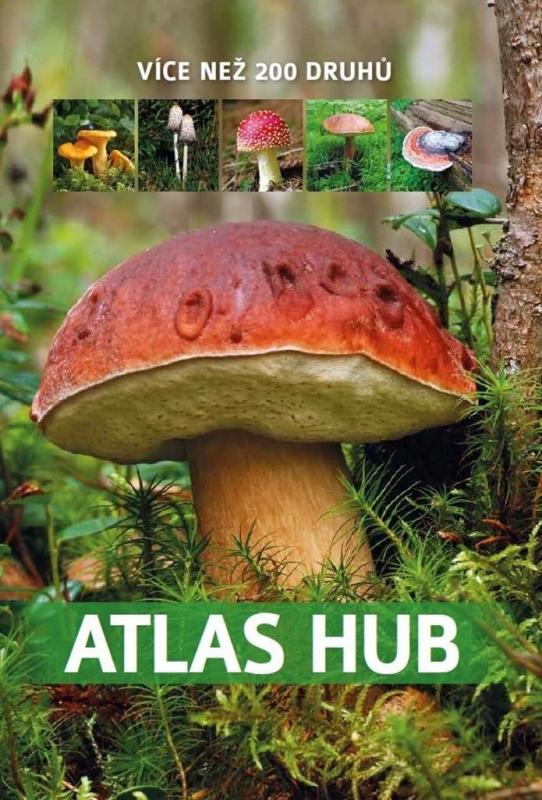 Kniha: Atlas hub - Zarawska Patrycja