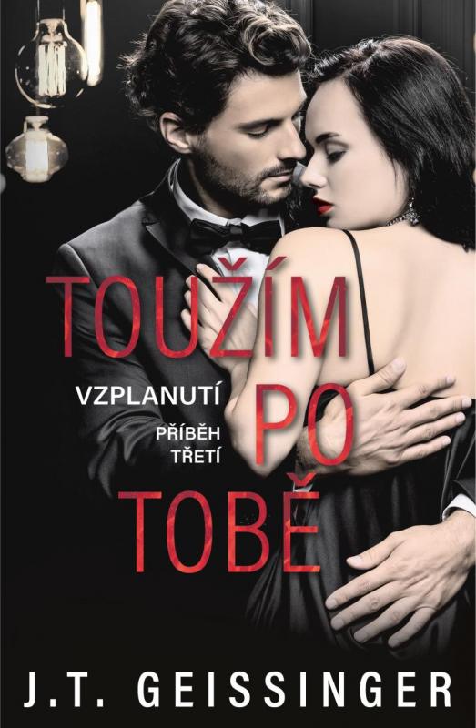 Kniha: Toužím po tobě - J. Geissinger T.