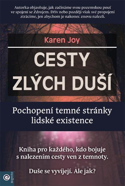 Kniha: Cesty zlých duší - Pochopení temné stránky lidské existence - Joy Karen