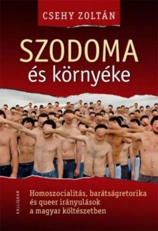 Kniha: Szodoma és környéke - Csehy Zoltán