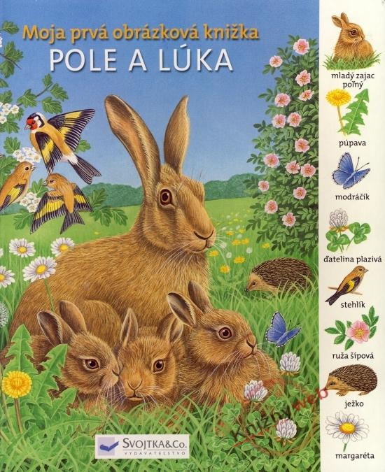 Kniha: Pole a lúka - Moja prvá obrázková knižkakolektív autorov