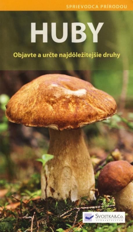 Kniha: Huby - Objavte a určte najdôležitejšie druhy - Lang Angelika