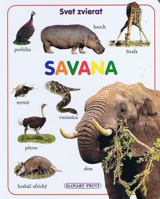 Kniha: Savana - leporeloautor neuvedený