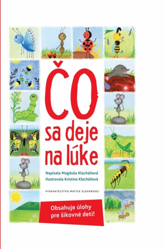 Kniha: Čo sa deje na lúke - Klocháňová Magduša