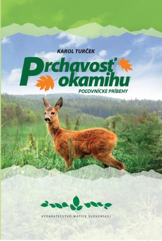 Kniha: Prchavosť okamihu - Turček Karol