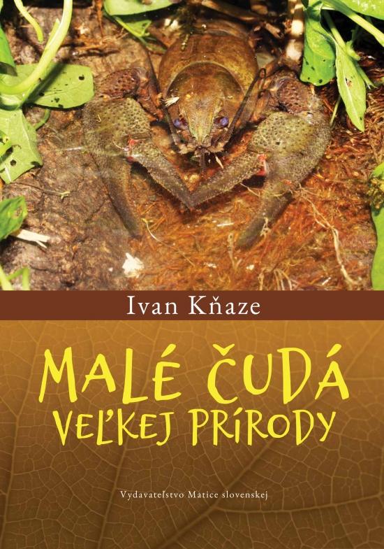 Kniha: Malé čudá veľkej prírody - Kňaze Ivan