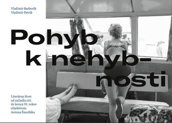 Kniha: Pohyb k nehybnosti - Vladimír Petrík