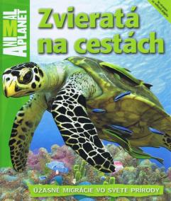 Zvieratá na cestách