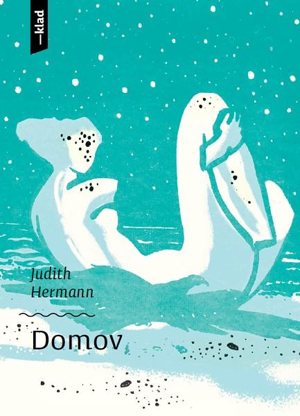 Kniha: Domov - Judith Hermann