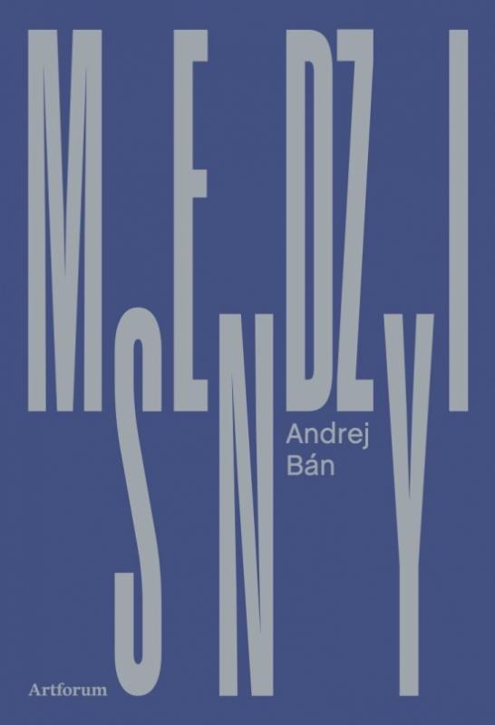 Kniha: Medzisny - Bán Andrej