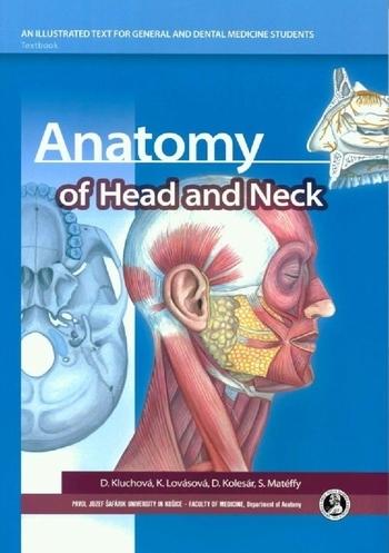 Kniha: Anatomy of Head and Neck - Květuše Lovásová