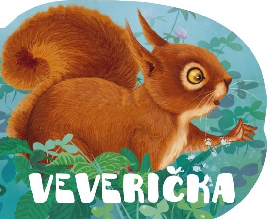 Kniha: Veveričkaautor neuvedený
