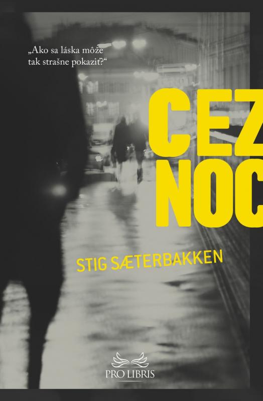 Kniha: Cez noc - Stig Saterbakken