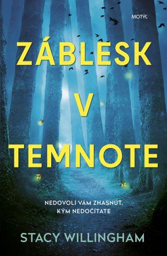 Kniha: Záblesk v temnote - Stacy Willingham