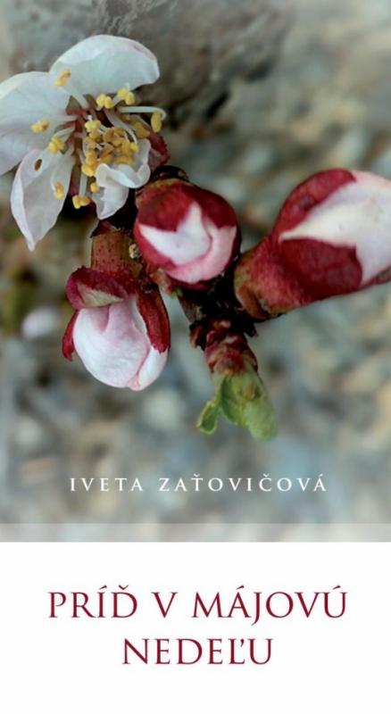Kniha: Príď v májovú nedeľu - Zaťovičová Iveta