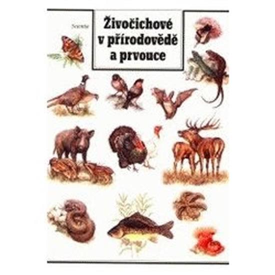 Kniha: Živočichové v přirodovědě a prvouce - Čapková, Čepická A. Dana