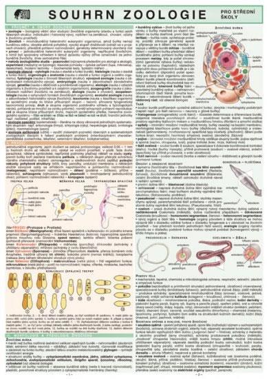 Kniha: Souhrn zoologie pro SŠ - Koubek Petr