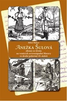 Kniha: Anežka Šulová - Miloš Melzer