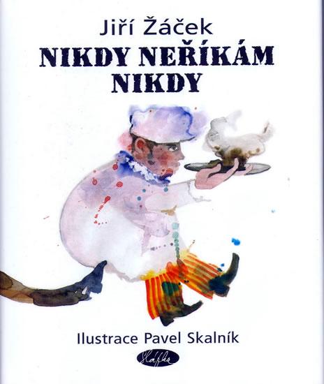 Kniha: Nikdy neříkám nikdy - Žáček Jiří