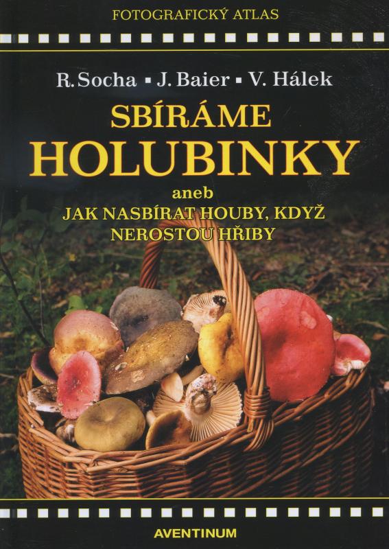 Kniha: Sbíráme holubinky - Radomír Socha