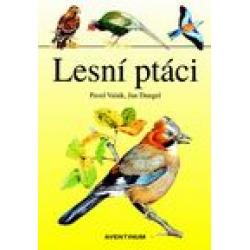 Kniha: Lesní ptáci - Jan Dungel