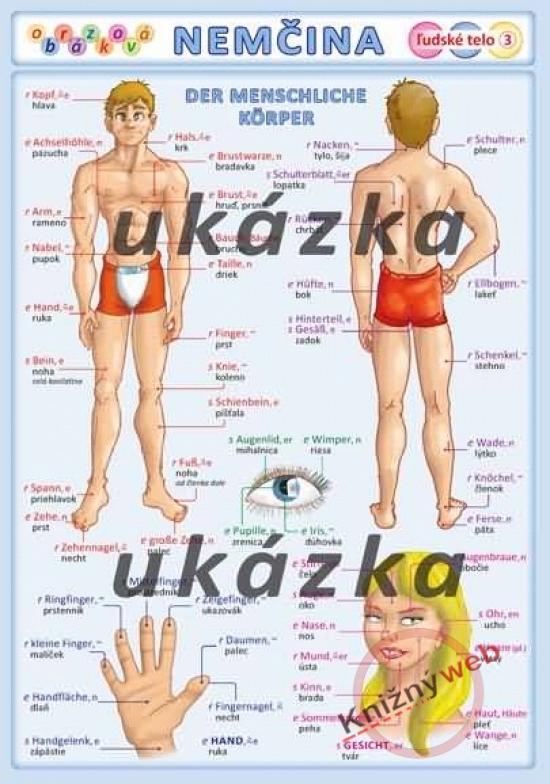 Kniha: Obrázková nemčina 3 - ľudské telo - Kupka a kol. Petr